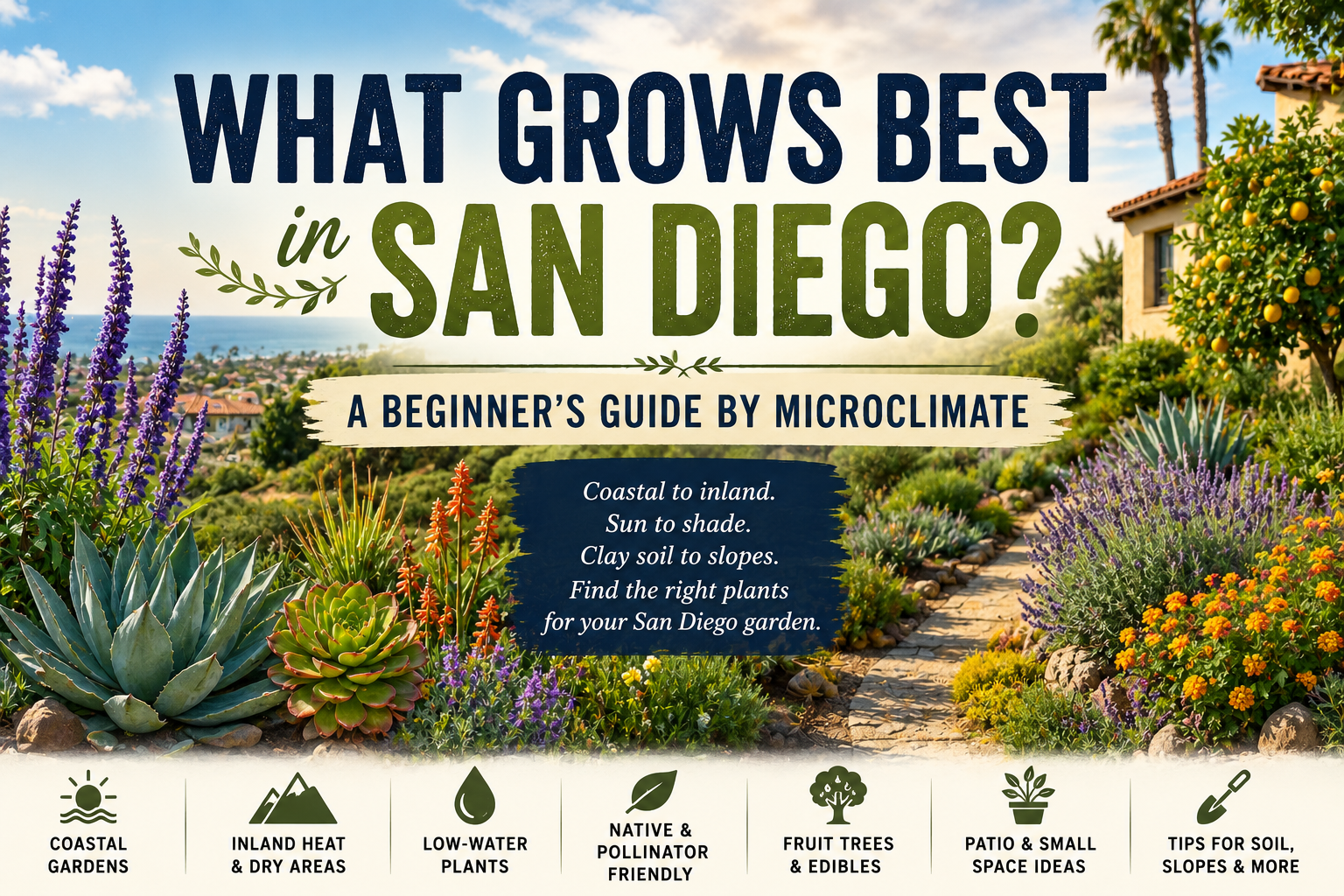Illustrated San Diego garden showing coastal succulents, agaves, citrus trees, lavender, and native plants under a sunny sky — title reads 'What Grows Best in San Diego? A Beginner's Guide by Microclimate' with icons for coastal gardens, inland heat, low-water plants, native and pollinator-friendly plants, fruit trees, patios, and soil tips.
